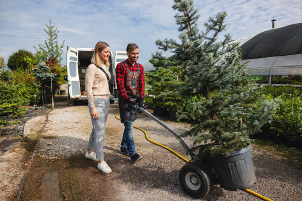 Best Sod Installation  in Bath, MI